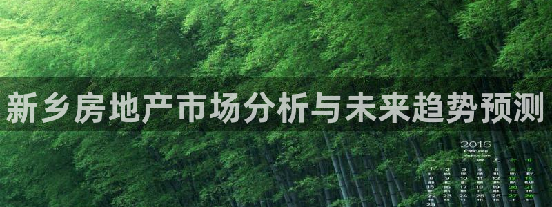 新宝5娱乐方