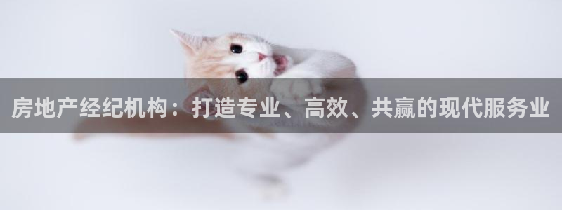 新宝5唯一：房地产经纪机构：打造专业、高效、共赢的现代服务业