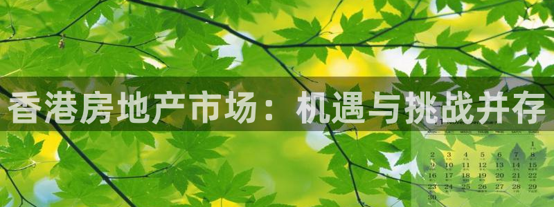 新宝5娱乐注：香港房地产市场：机遇与挑战并存