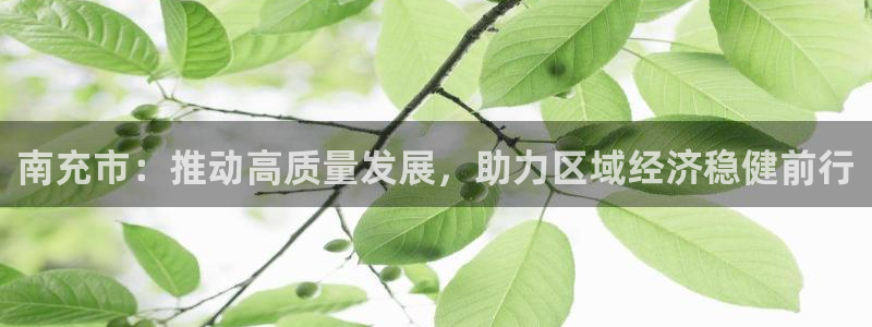 新宝5新宝6顺达：南充市：推动高质量发展，助力区域经济稳健前
