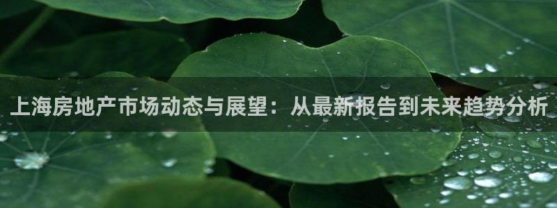皇冠新宝5：上海房地产市场动态与展望：从最新报告到未来趋势分