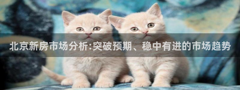 i新宝5：北京新房市场分析:突破预期、稳中有进的市场趋势