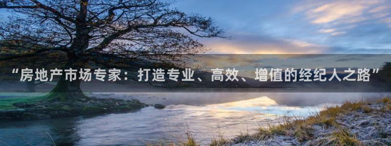 新宝6霸哥5：“房地产市场专家：打造专业、高效、增值的经纪人