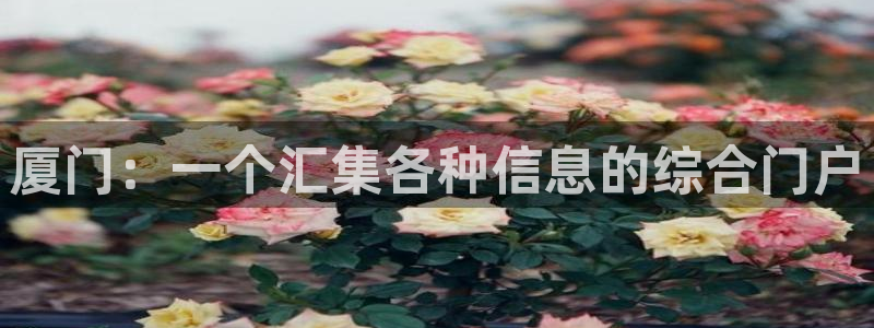 新宝5得74OOO5：厦门：一个汇集各种信息的综合门户