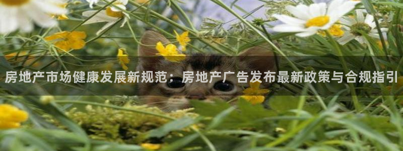 新宝rm5：房地产市场健康发展新规范：房地产广告发布最新政策