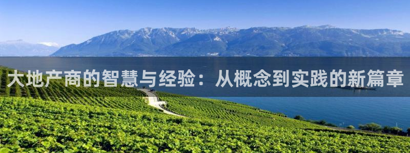 新宝5app手机下载：大地产商的智慧与经验：从概念到实践的新