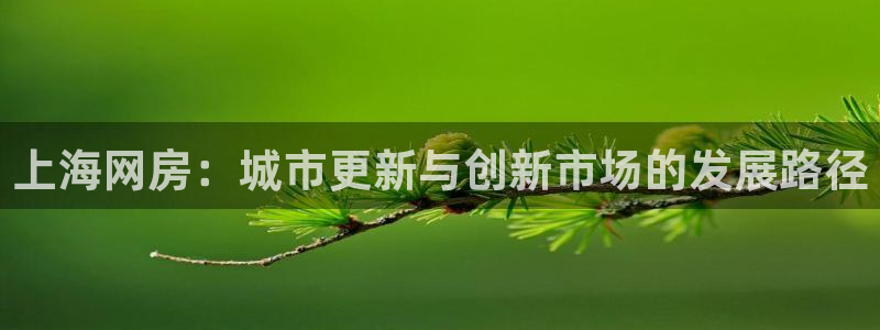新宝5官网app：上海网房：城市更新与创新市场的发展路径