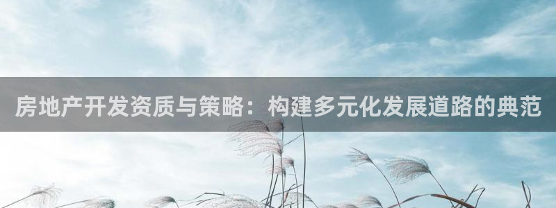新宝5手机登陆：房地产开发资质与策略：构建多元化发展道路的典