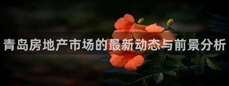 新宝5秒开：青岛房地产市场的最新动态与前景分析