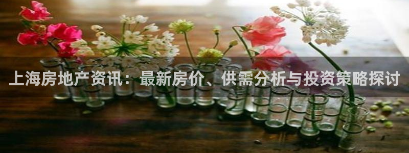 新宝5app：上海房地产资讯：最新房价、供需分析与投资策略探