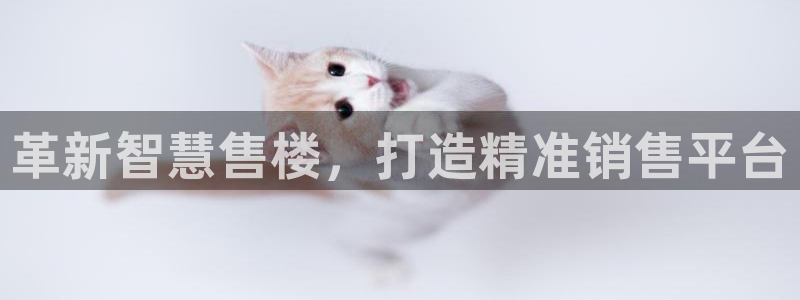新宝5湫333 00：革新智慧售楼，打造精准销售平台