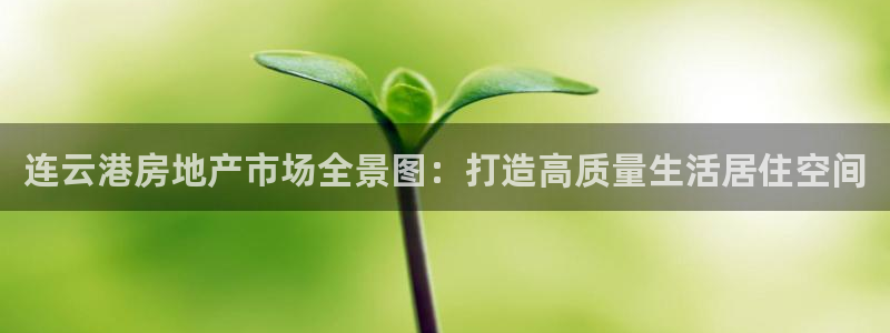 新宝5平台登录：连云港房地产市场全景图：打造高质量生活居住空