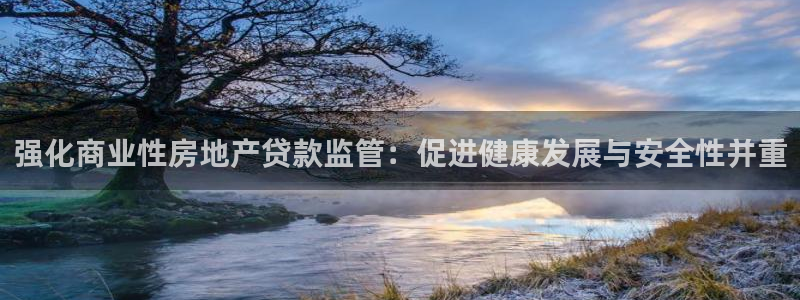 新宝5骗术：强化商业性房地产贷款监管：促进健康发展与安全性并