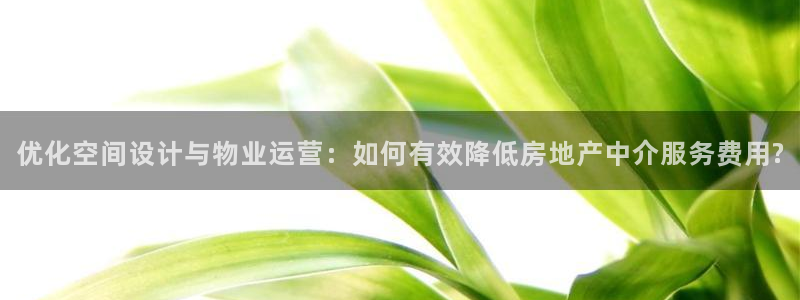 新宝5飞355051：优化空间设计与物业运营：如何有效降低房