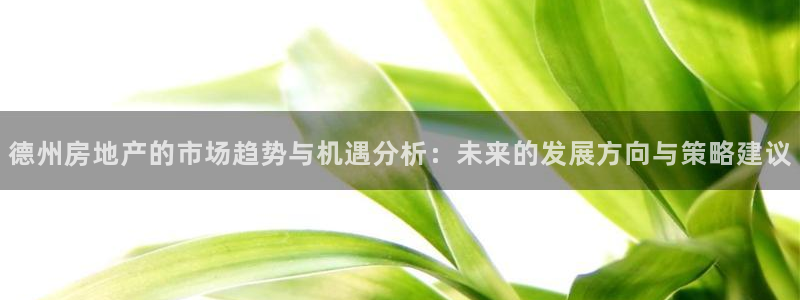 新宝5浗维33 300：德州房地产的市场趋势与机遇分析：未来