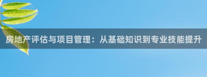 新宝5测速平台登录：房地产评估与项目管理：从基础知识到专业技