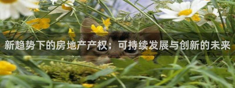 新宝_5：新趋势下的房地产产权：可持续发展与创新的未来
