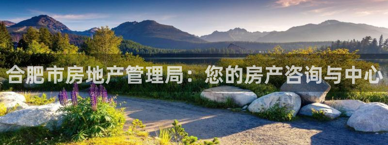 新宝5注册：合肥市房地产管理局：您的房产咨询与中心