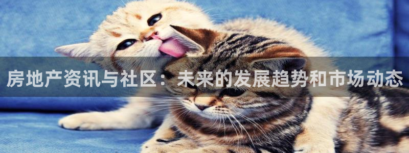新宝娱乐5入口：房地产资讯与社区：未来的发展趋势和市场动态