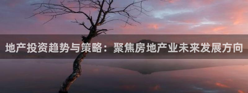 2022新宝骏rs 5：地产投资趋势与策略：聚焦房地产业未来