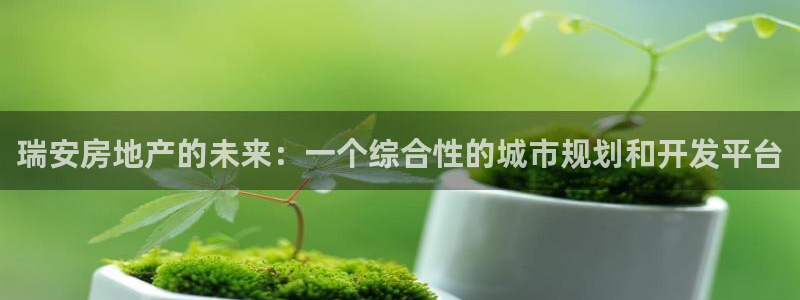 新宝5官方网站：瑞安房地产的未来：一个综合性的城市规划和开发