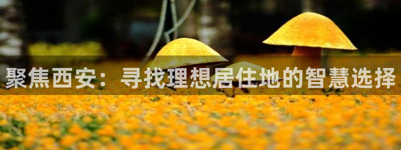 新宝5注册：聚焦西安：寻找理想居住地的智慧选择