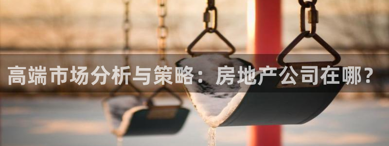 新宝5下载 迅雷下载：高端市场分析与策略：房地产公司在哪？