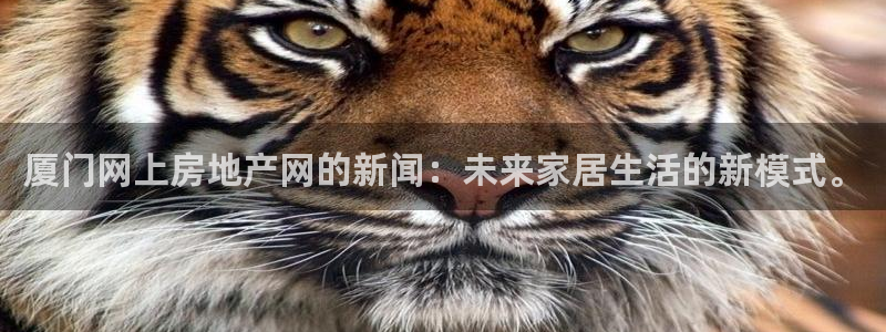 新宝5五：厦门网上房地产网的新闻：未来家居生活的新模式。