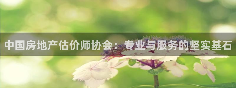 新宝5娱乐同：中国房地产估价师协会：专业与服务的坚实基石