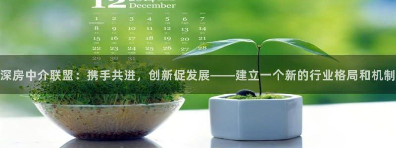 新宝5账号注册：深房中介联盟：携手共进，创新促发展——建立一