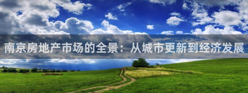 新宝测速5：南京房地产市场的全景：从城市更新到经济发展