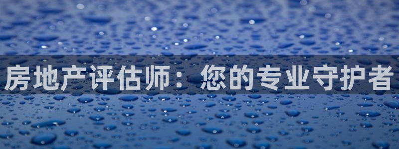 新宝5浗维33 300：房地产评估师：您的专业守护者