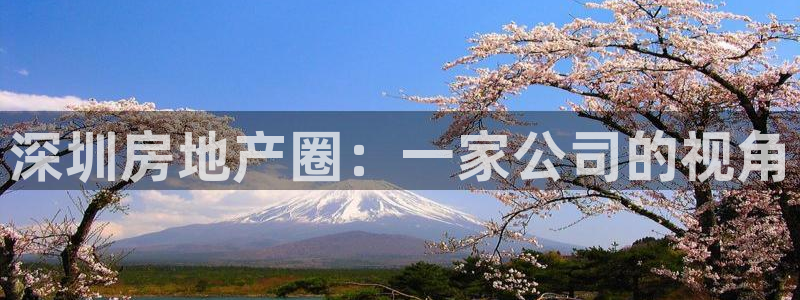 新宝5测速：深圳房地产圈：一家公司的视角