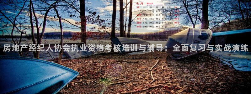 新宝5娱乐主管：房地产经纪人协会执业资格考核培训与辅导：全面