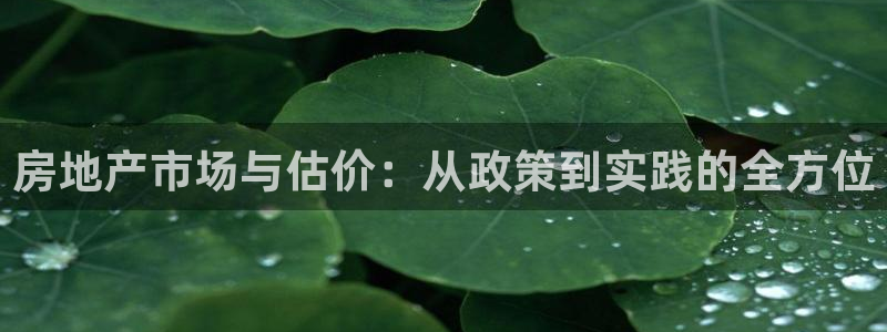 新宝5app：房地产市场与估价：从政策到实践的全方位