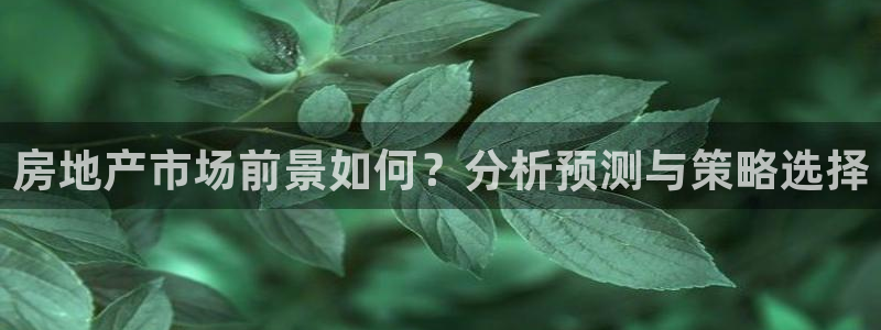 新宝5登录注册：房地产市场前景如何？分析预测与策略选择