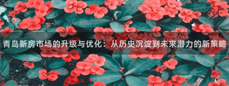 新宝5平台注册资金：青岛新房市场的升级与优化：从历史沉淀到未