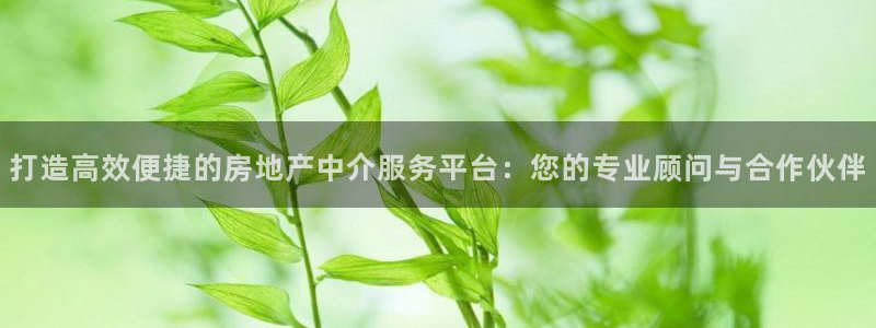 新宝5注册霸：打造高效便捷的房地产中介服务平台：您的专业顾问