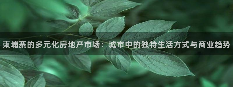 新宝5平台霸：柬埔寨的多元化房地产市场：城市中的独特生活方式