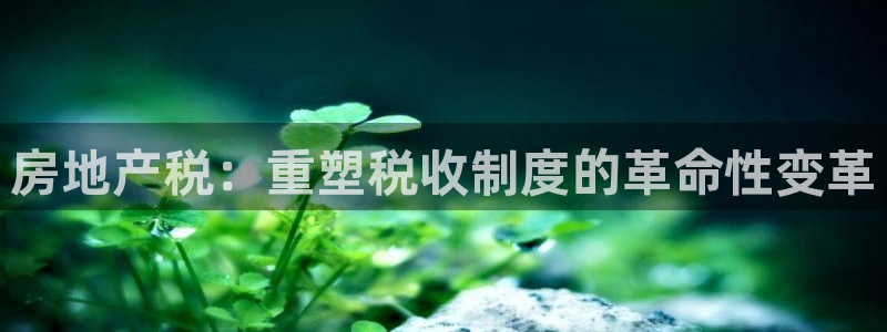 新宝5注册平台：房地产税：重塑税收制度的革命性变革