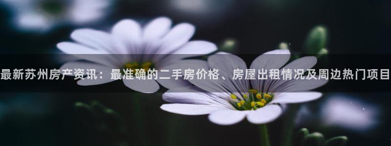 新宝5浗维33 300：最新苏州房产资讯：最准确的二手房价格