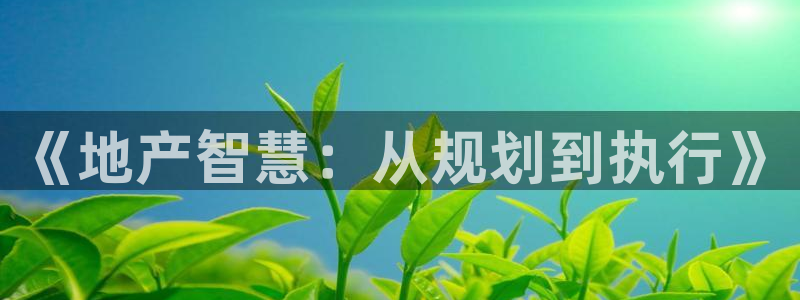 新宝rc_5w：《地产智慧：从规划到执行》