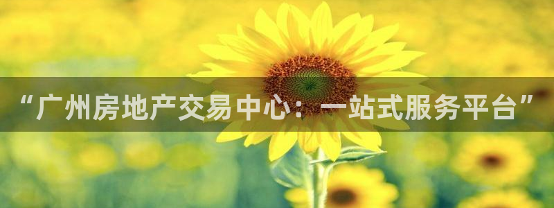新宝5登录测速中心：“广州房地产交易中心：一站式服务平台”