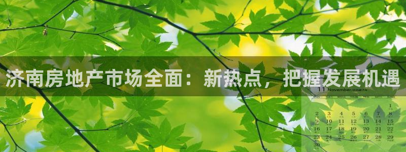 新宝5主管：济南房地产市场全面：新热点，把握发展机遇