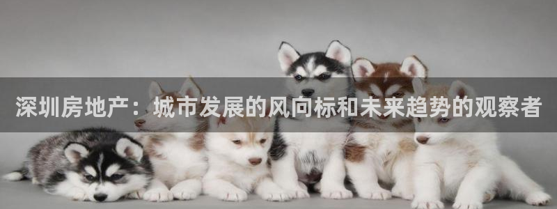 新宝5注册霸：深圳房地产：城市发展的风向标和未来趋势的观察者
