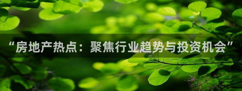 新宝5什么时候上市：“房地产热点：聚焦行业趋势与投资机会”