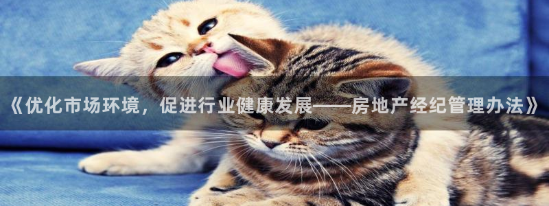 新宝注5册：《优化市场环境，促进行业健康发展——房地产经纪管