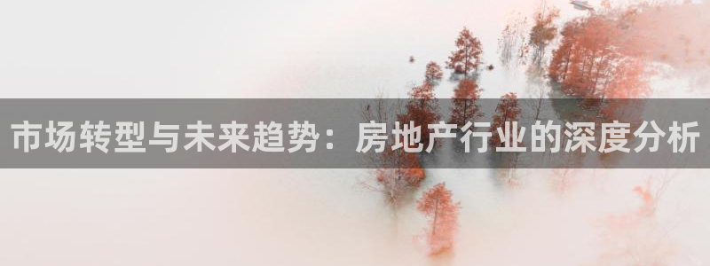 新宝5娱乐经：市场转型与未来趋势：房地产行业的深度分析