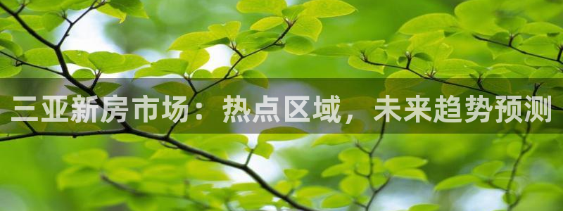新宝5可靠吗：三亚新房市场：热点区域，未来趋势预测