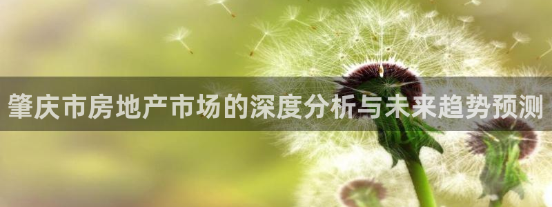 新宝_5：肇庆市房地产市场的深度分析与未来趋势预测